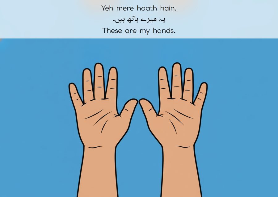 Flashcard: These are my hands. (یہ میرے ہاتھ ہیں۔)