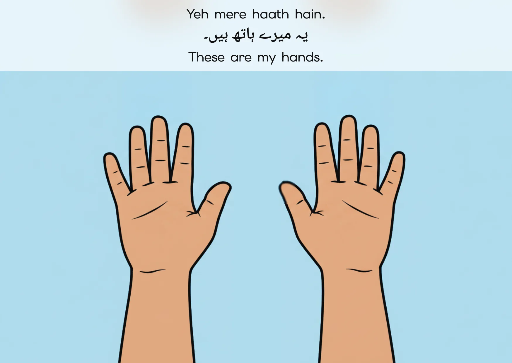 Flashcard: These are my hands. (یہ میرے ہاتھ ہیں۔)