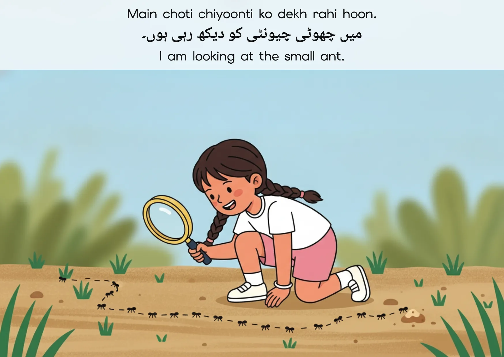 Flashcard: I am looking at the small ant. (میں چھوٹی چیونٹی کو دیکھ رہی ہوں۔)