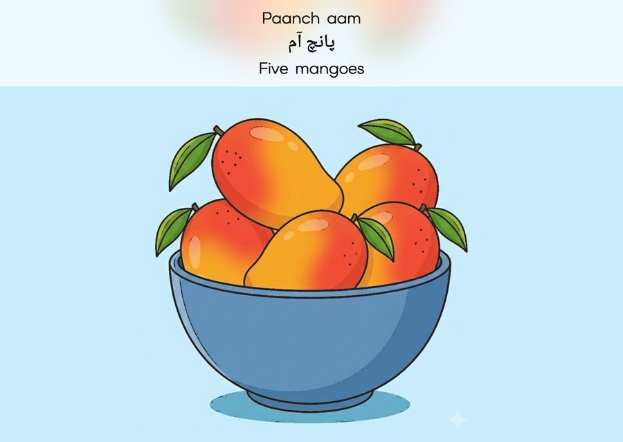 Flashcard: Five mangoes (پانچ آم)