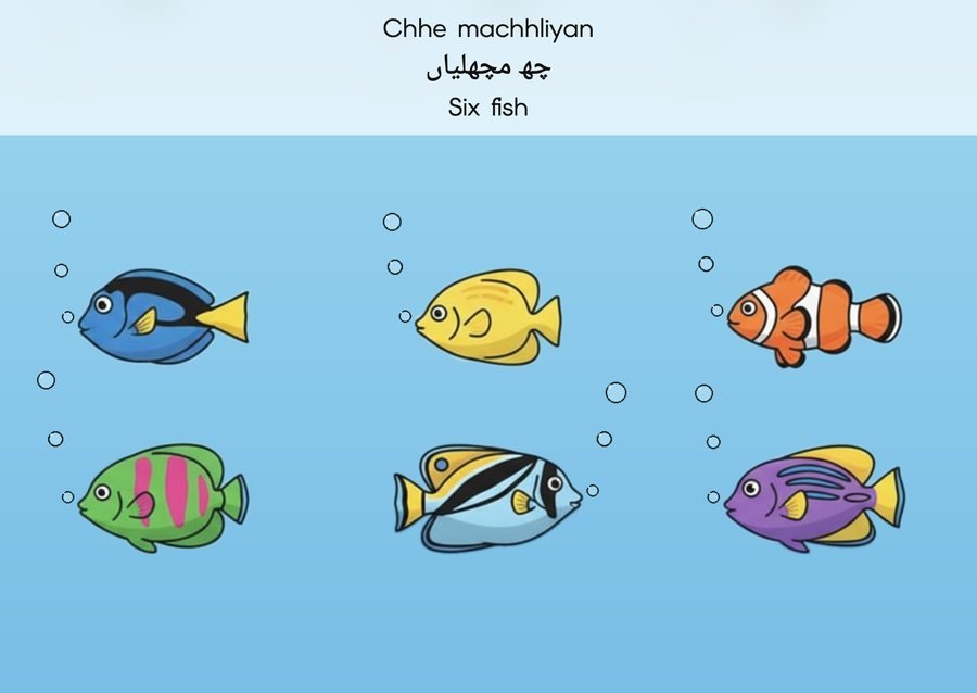 Flashcard: Six fish (چھ مچھلیاں)