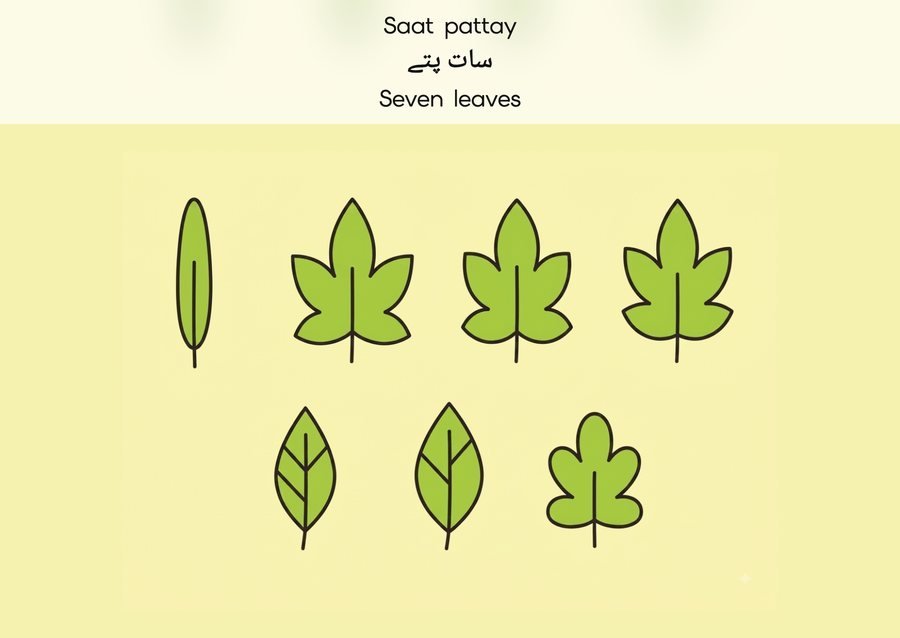 Flashcard: Seven leaves (سات پتے)