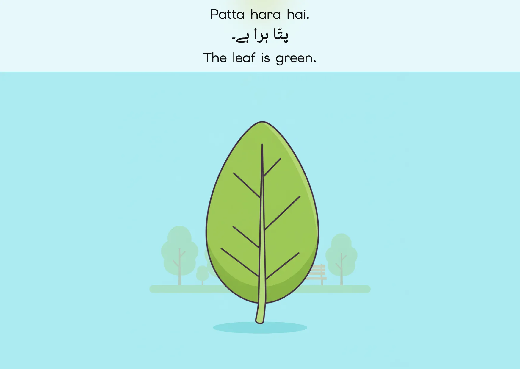 Flashcard: The leaf is green. (پتّا ہرا ہے۔)