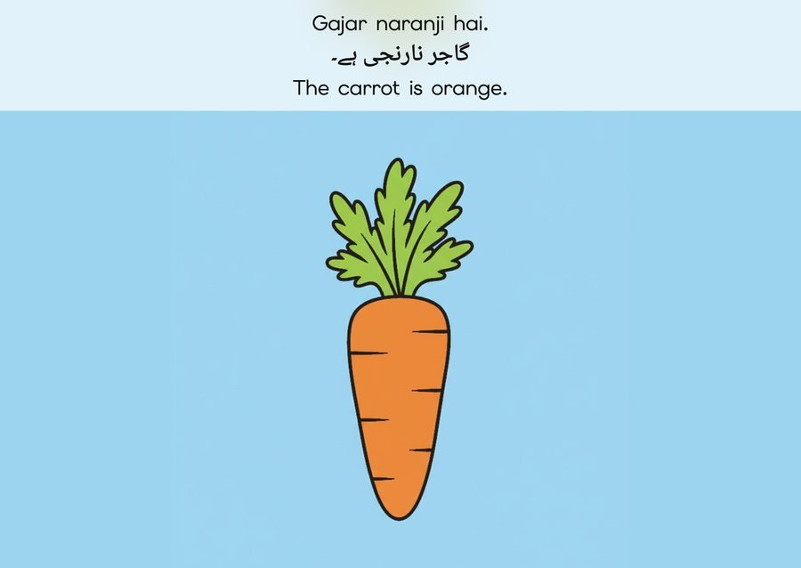 Flashcard: The carrot is orange. (گاجر نارنجی ہے۔)
