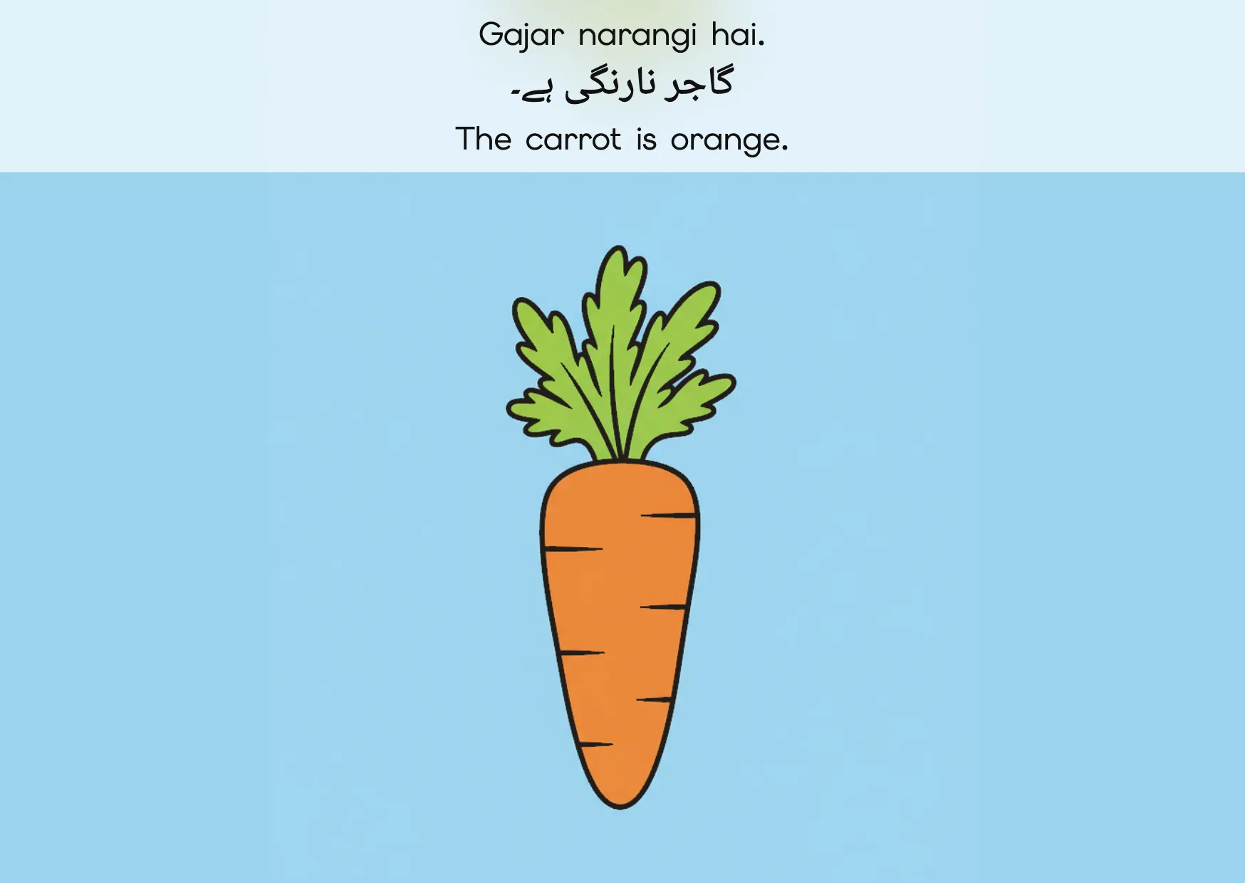 Flashcard: The carrot is orange. (گاجر نارنگی ہے۔)