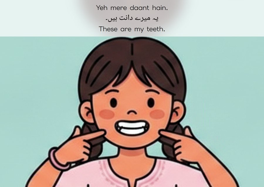 Flashcard: These are my teeth. (یہ میرے دانت ہیں۔)