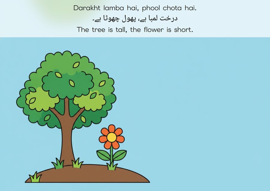 Flashcard: The tree is tall, the flower is short. (درخت لمبا ہے، پھول چھوٹا ہے۔)