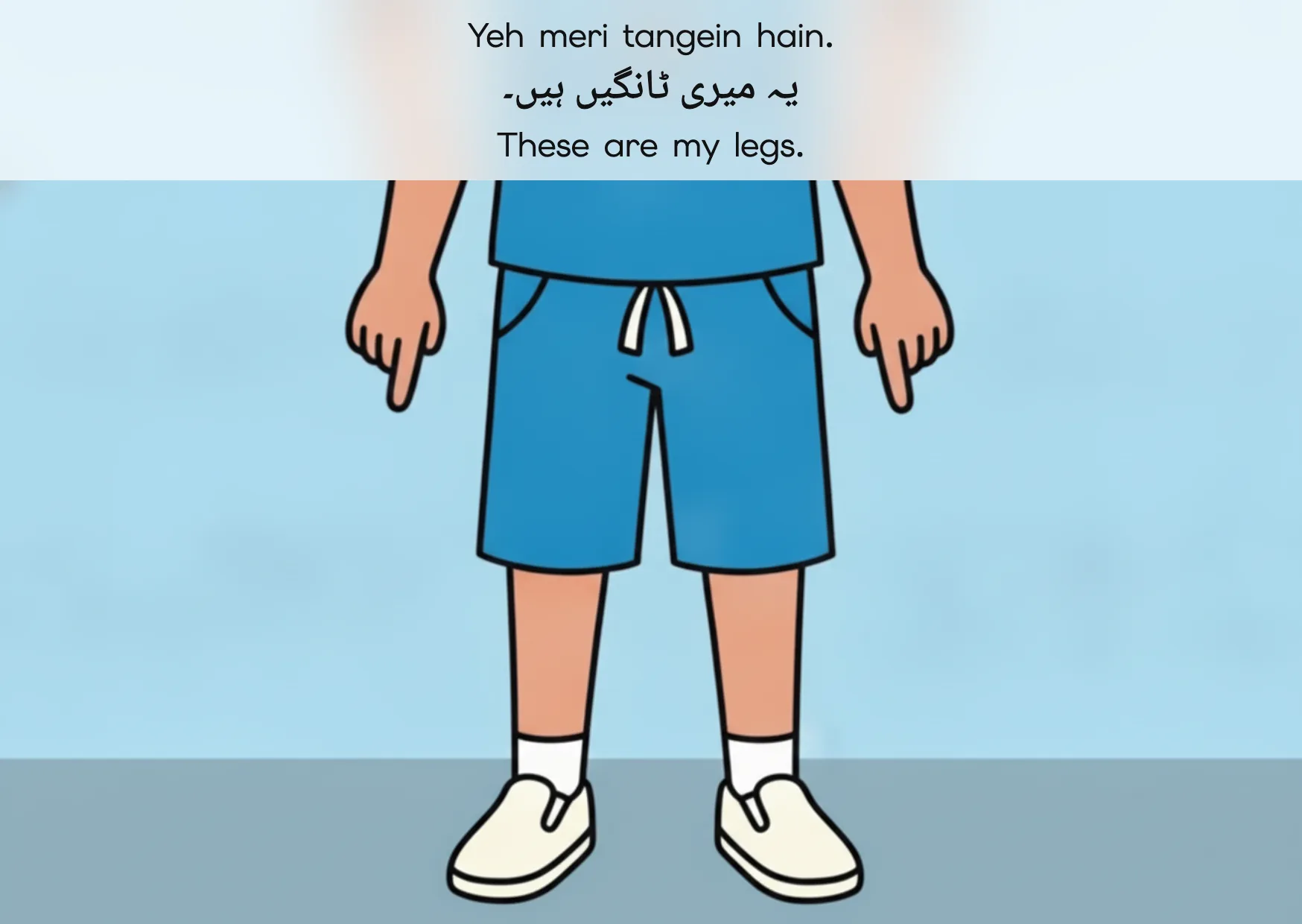 Flashcard: These are my legs. (یہ میری ٹانگیں ہیں۔)