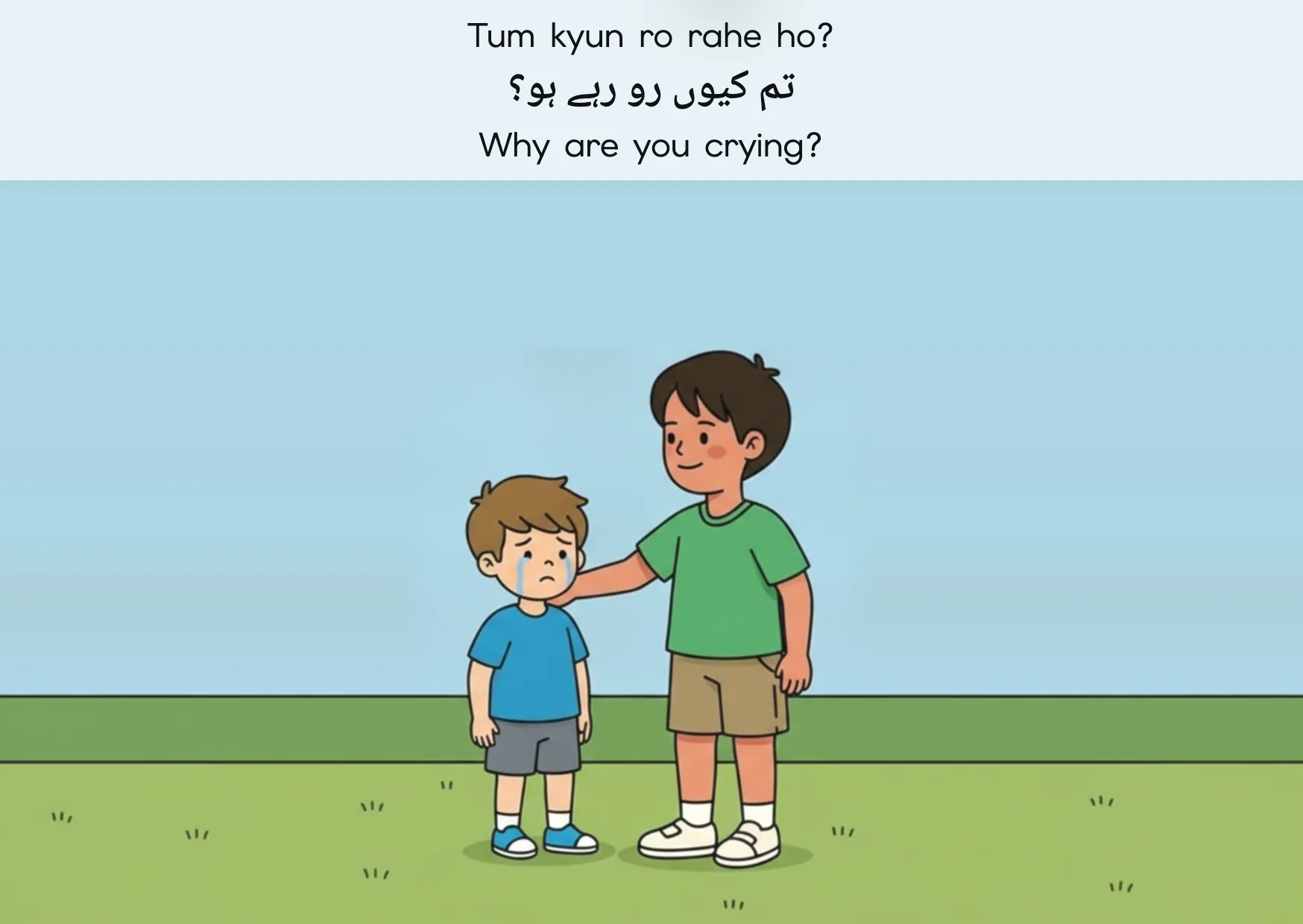Flashcard: Why are you crying? (تم کیوں رو رہے ہو؟)