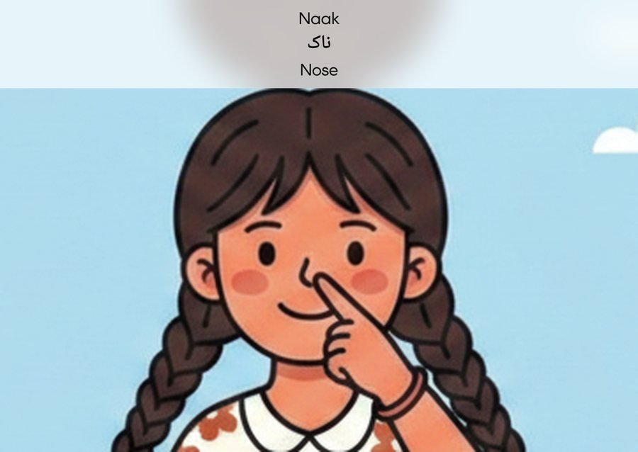 Flashcard: Nose (ناک)