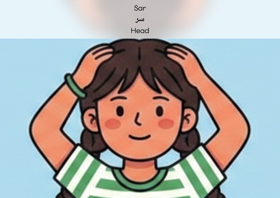 Flashcard: Head (سر)
