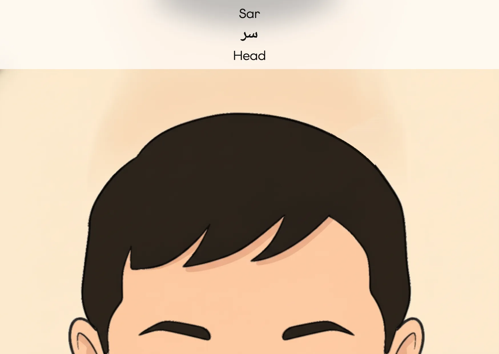 Flashcard: Head (سر)