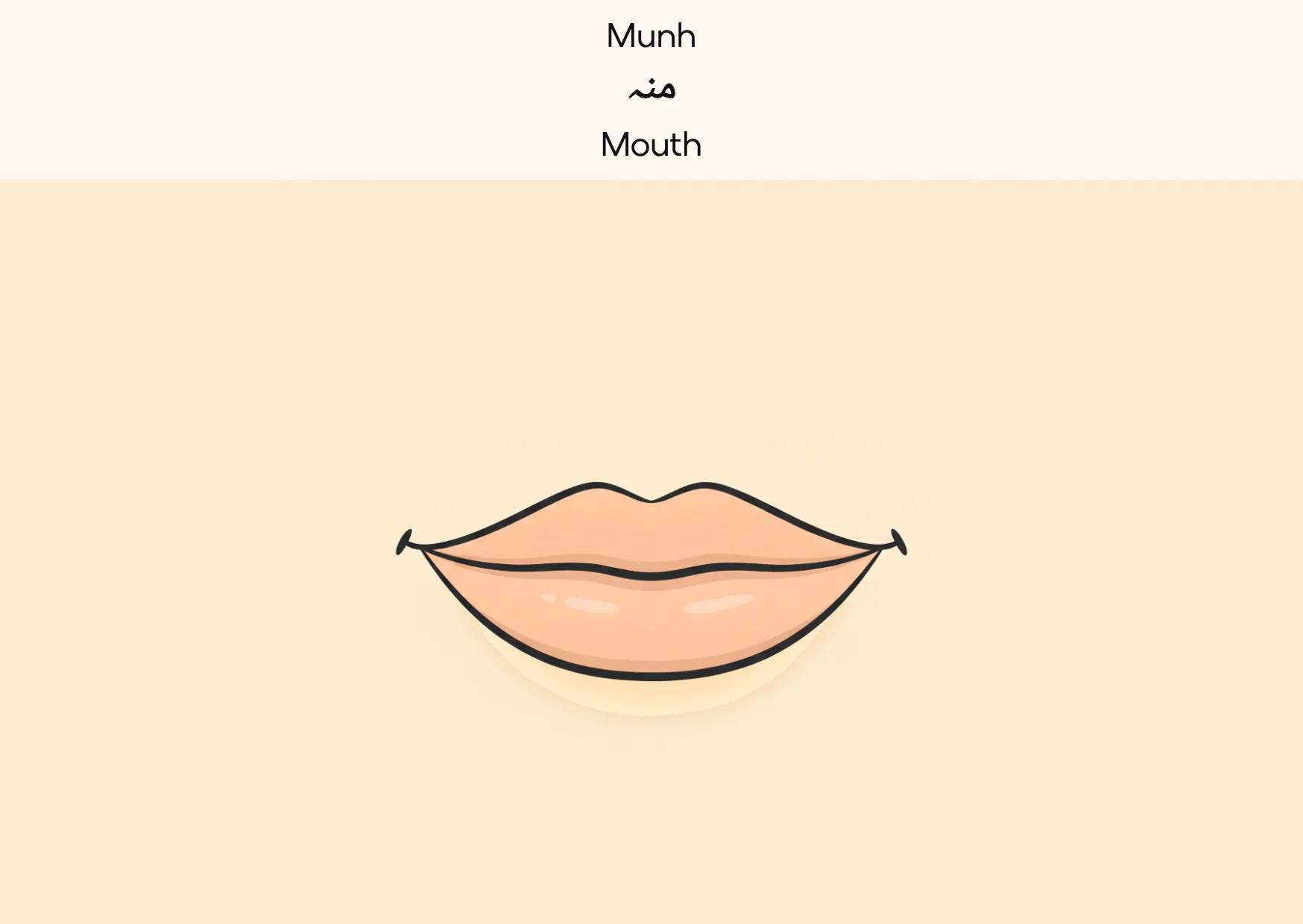 Flashcard: Mouth (منہ)