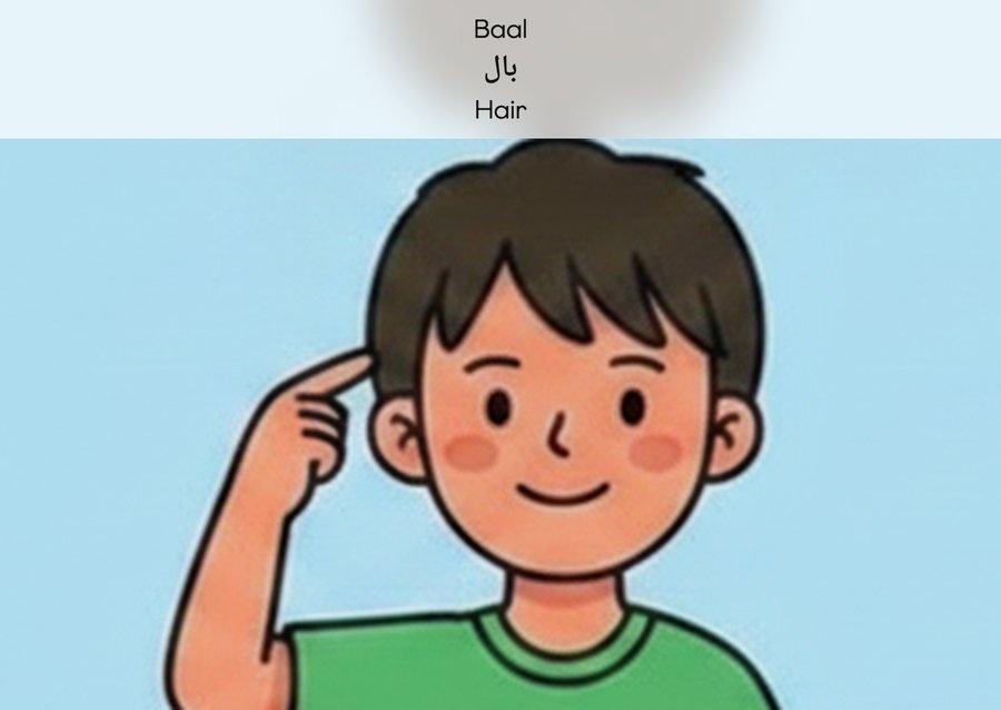 Flashcard: Hair (بال)