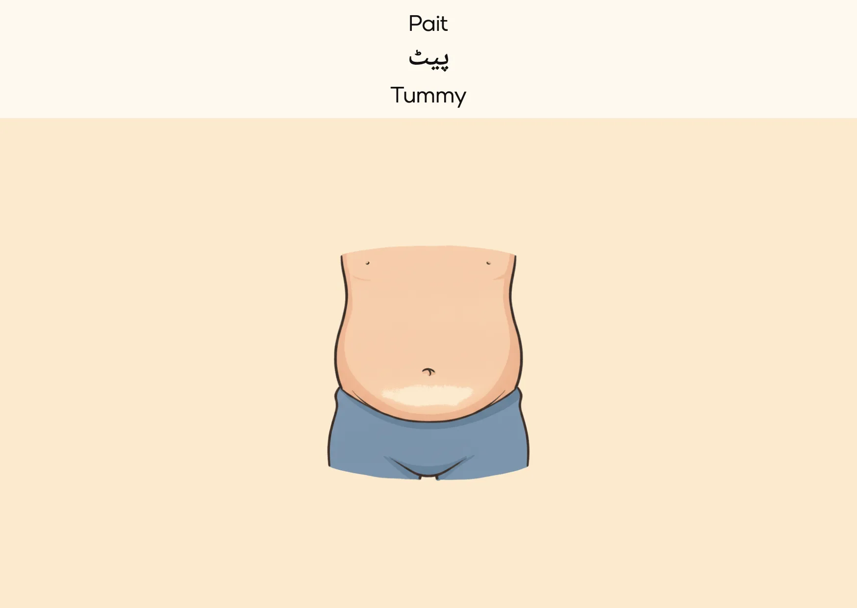 Flashcard: Tummy (پیٹ)