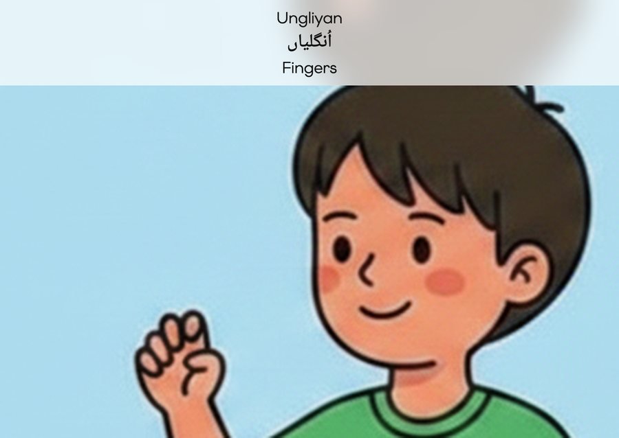 Flashcard: Fingers (اُنگلیاں)
