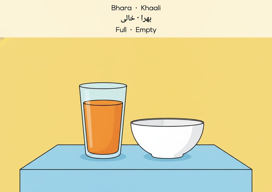 Flashcard: Full · Empty (بھرا · خالی)