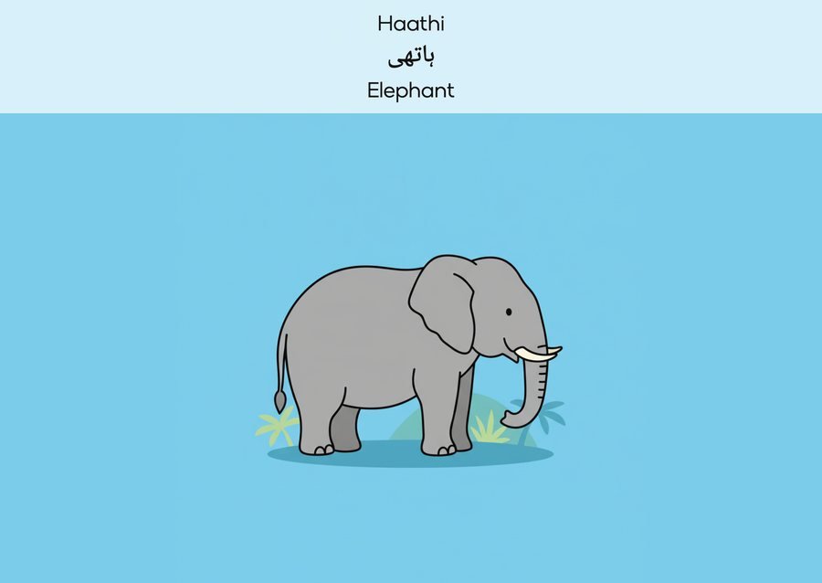 Flashcard: Elephant (ہاتھی)