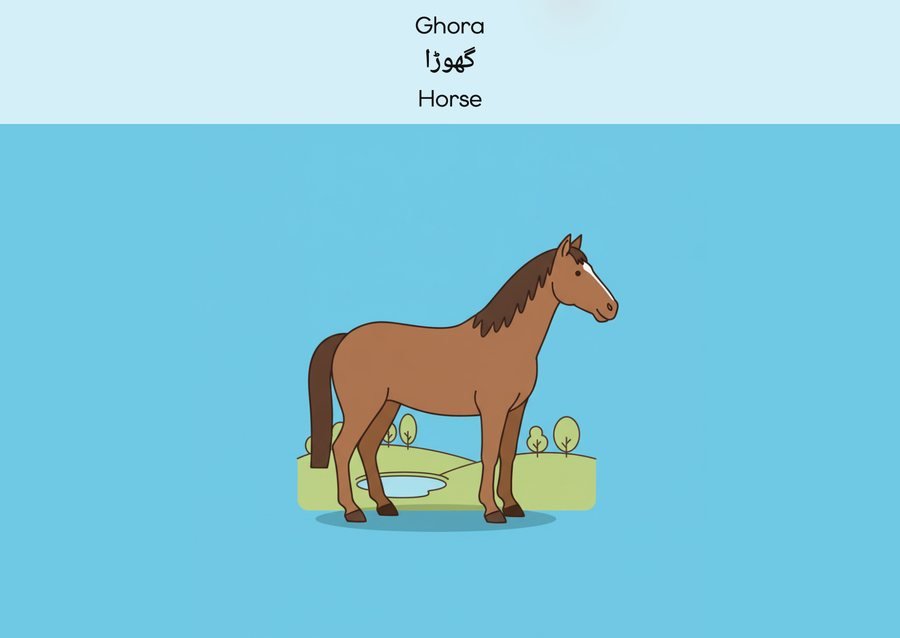 Flashcard: Horse (گھوڑا)