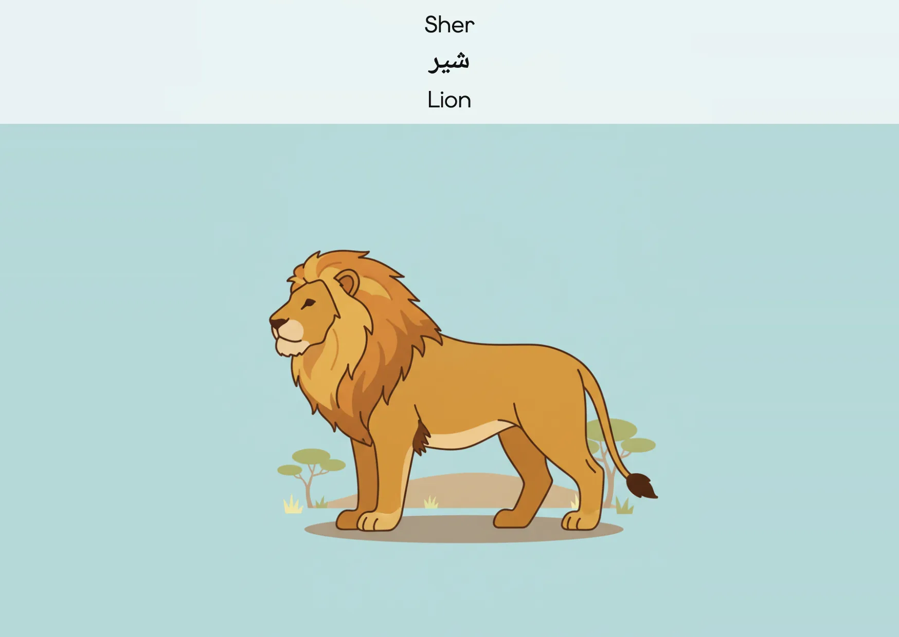 Flashcard: Lion (شیر)