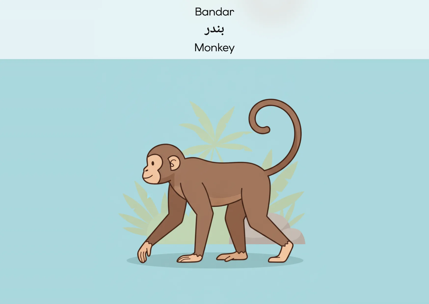 Flashcard: Monkey (بندر)
