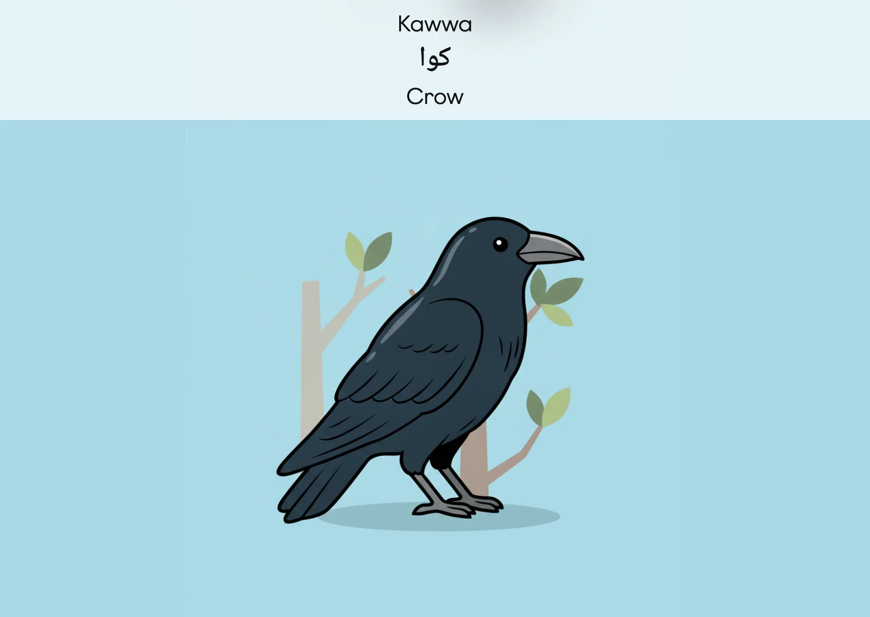 Flashcard: Crow (کوا)