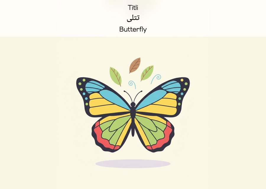 Flashcard: Butterfly (تتلی)