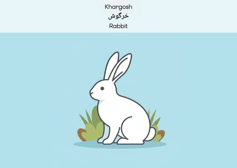 Flashcard: Rabbit (خرگوش)