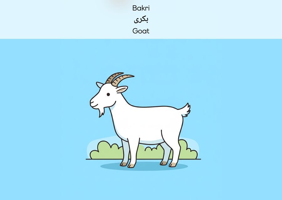 Flashcard: Goat (بکری)