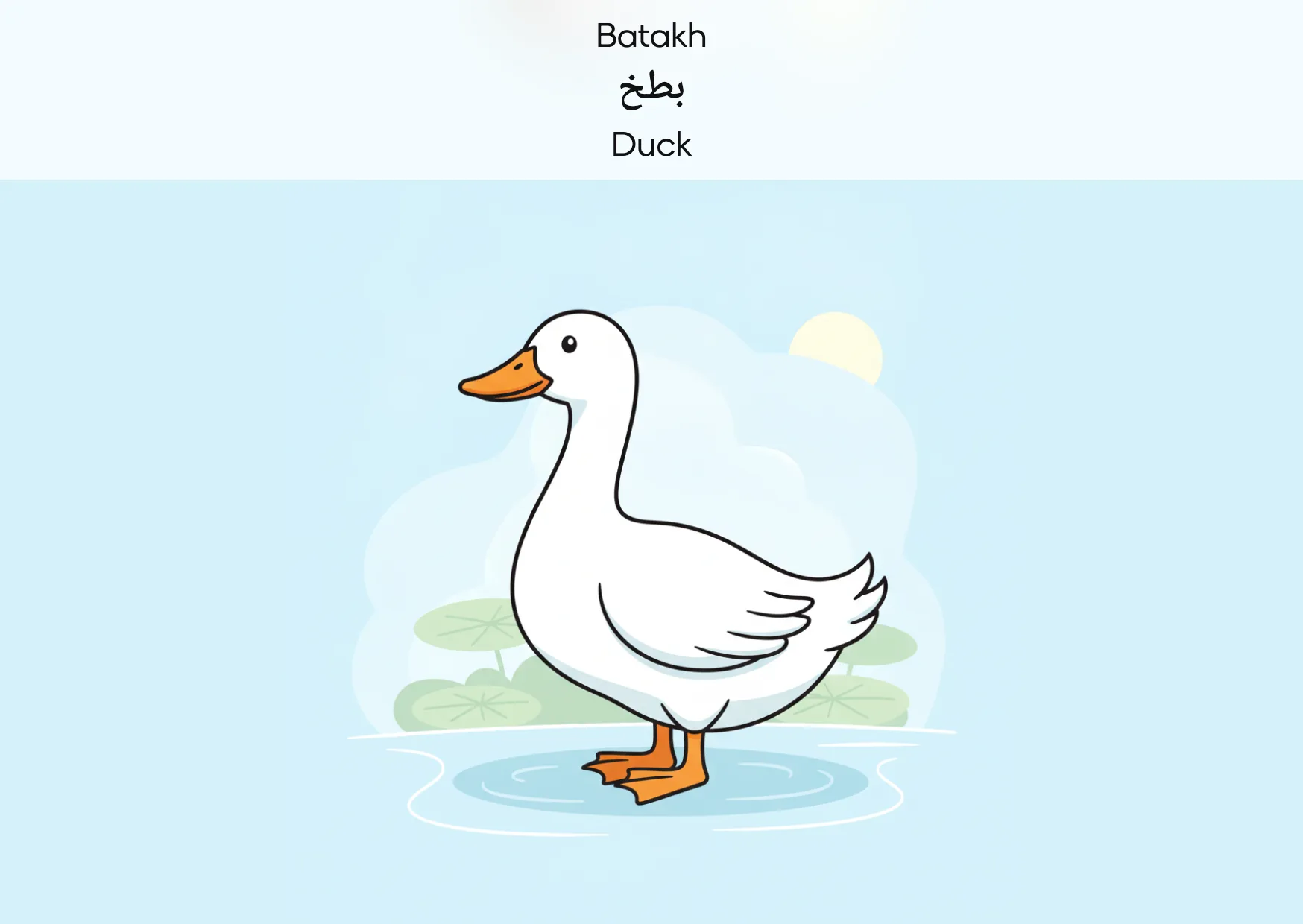 Flashcard: Duck (بطخ)