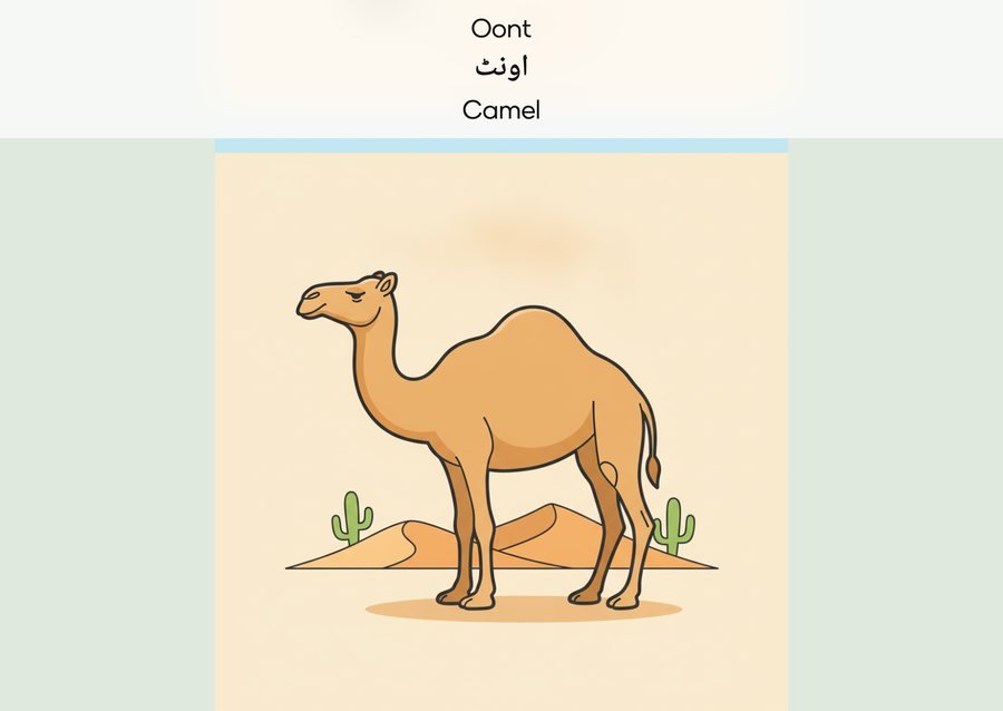 Flashcard: Camel (اونٹ)