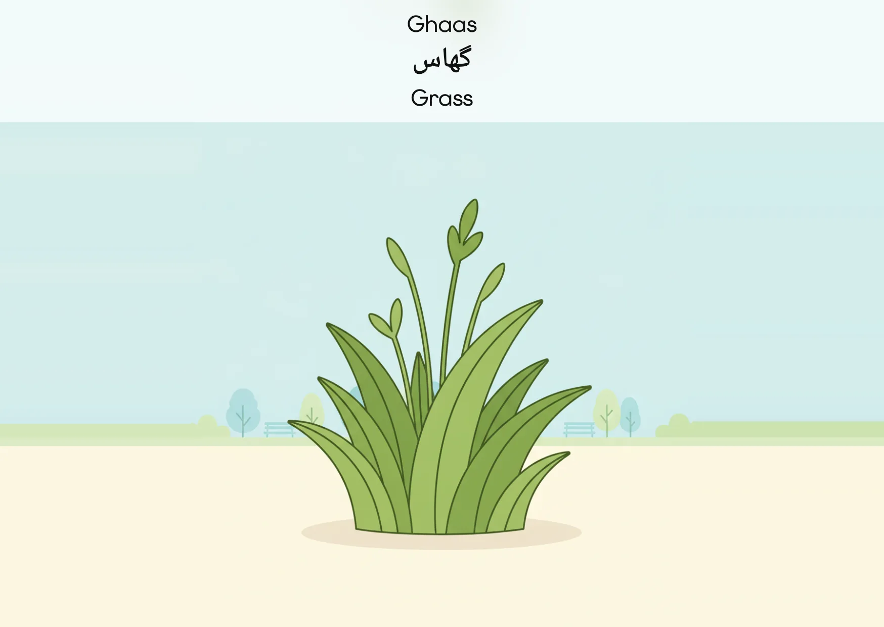 Flashcard: Grass (گھاس)