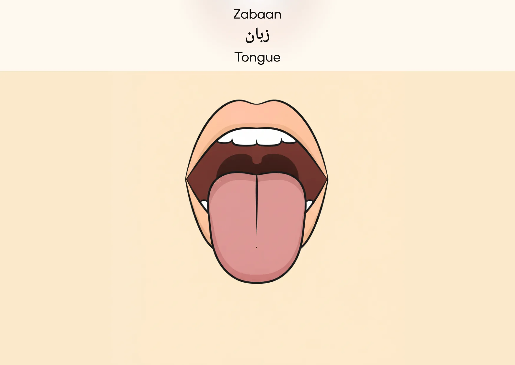 Flashcard: Tongue (زبان)