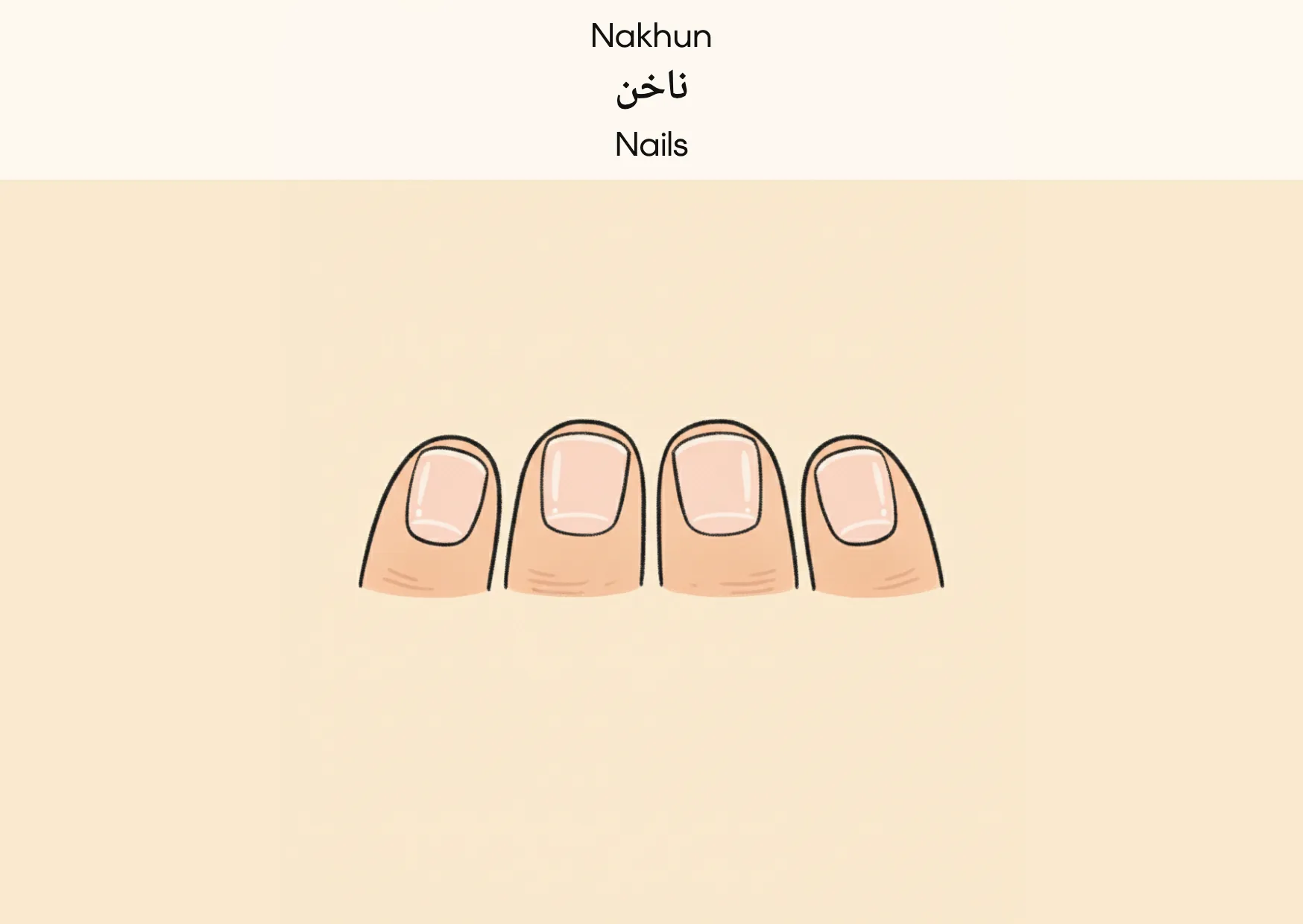 Flashcard: Nails (ناخن)