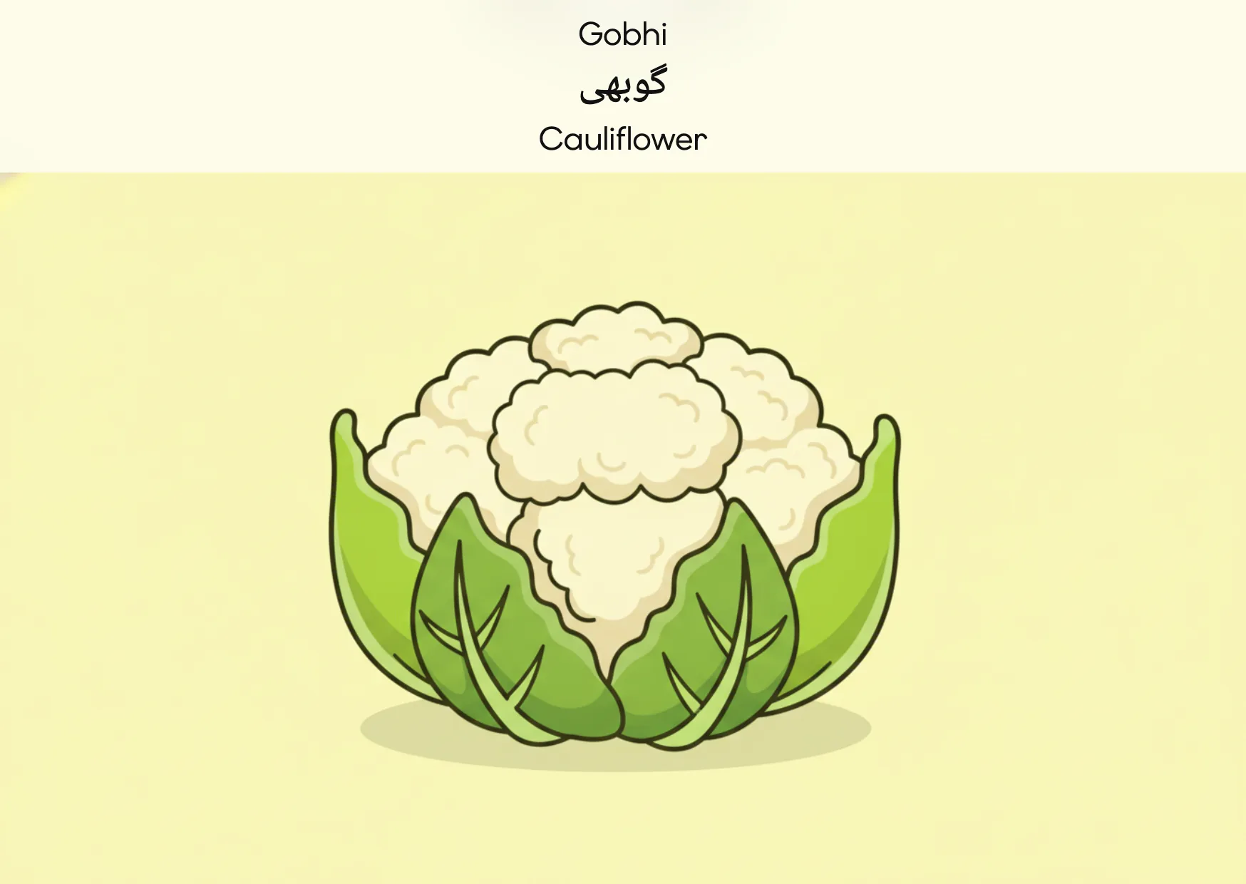 Flashcard: Cauliflower (گوبھی)