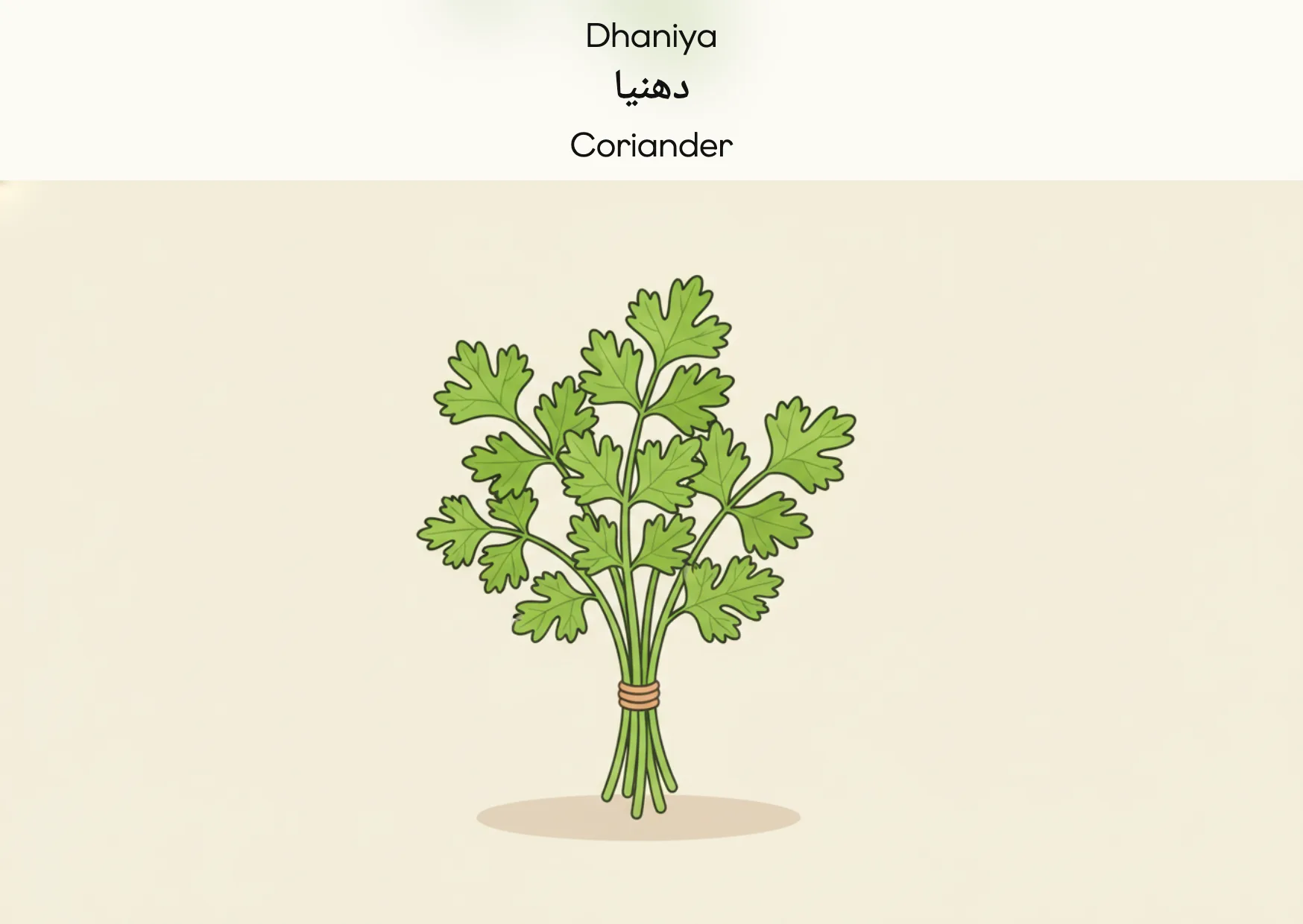 Flashcard: Coriander (دھنیا)