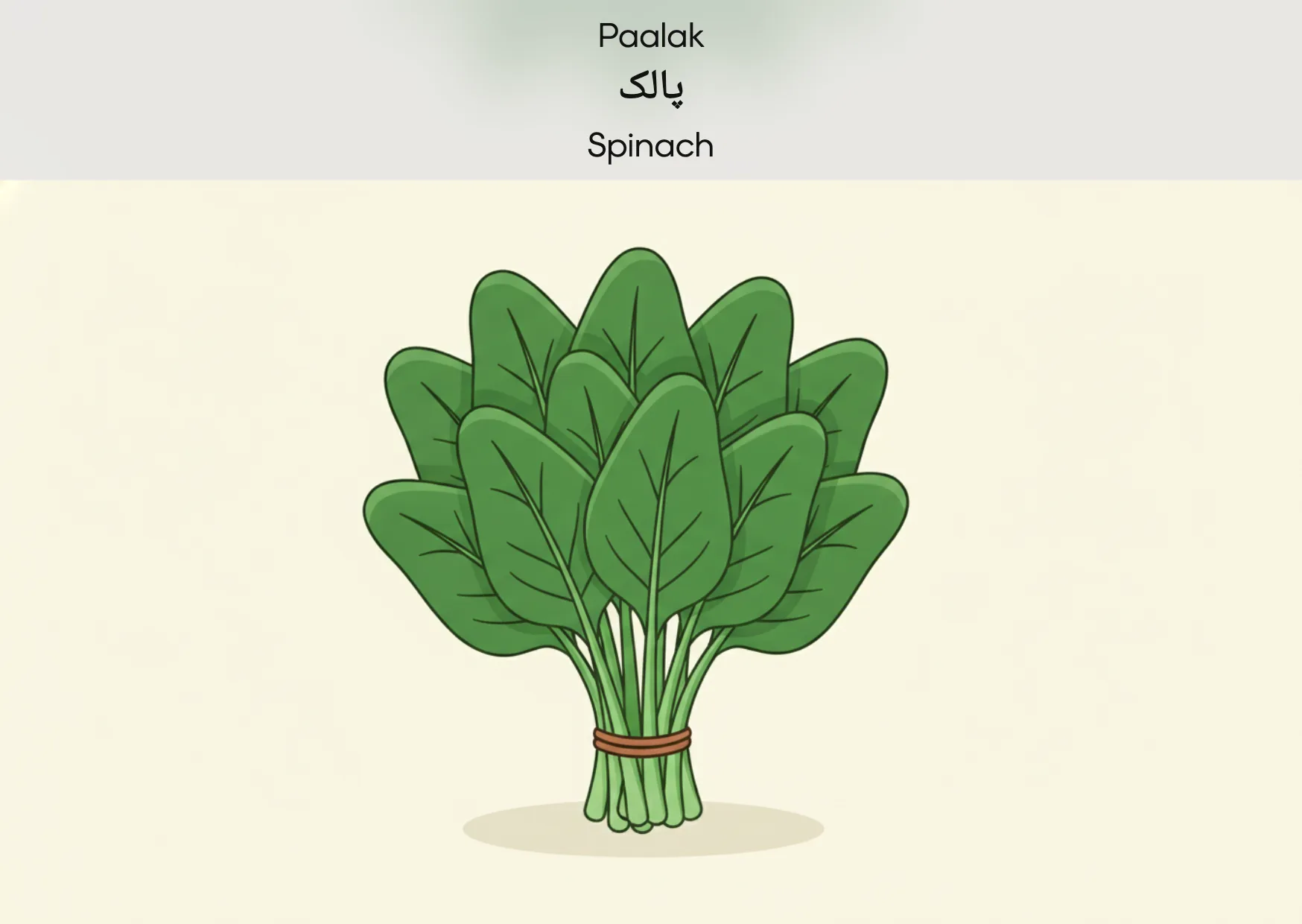 Flashcard: Spinach (پالک)